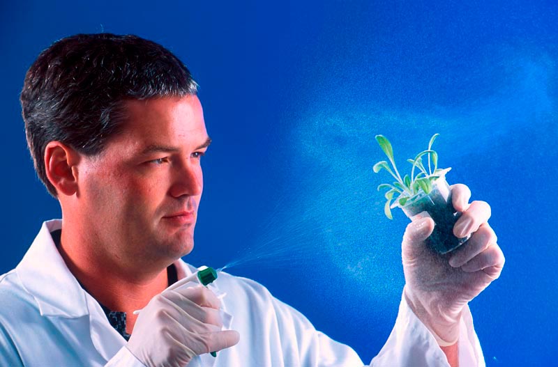 Купить диплом 2013 года Купить диплом 2013 года